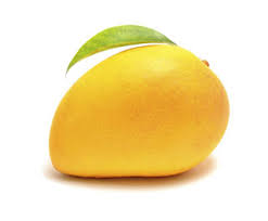 Mango Fruit Powder Mango Fruit Powder